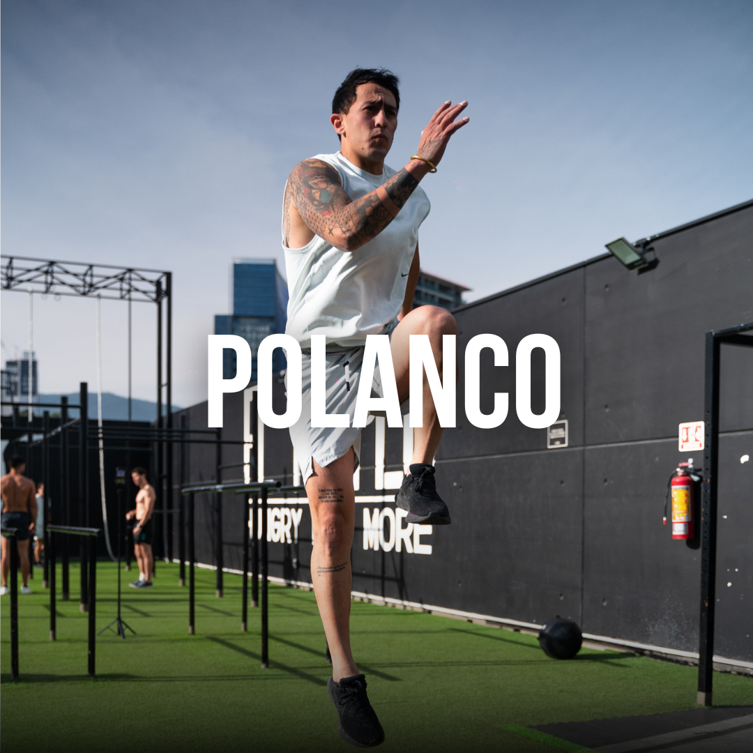 POLANCO | PREVENTA